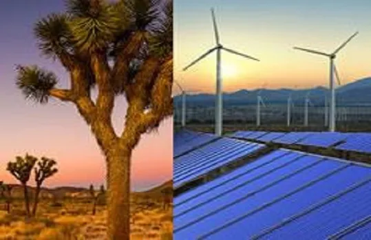 BLM Crimson Solar Project