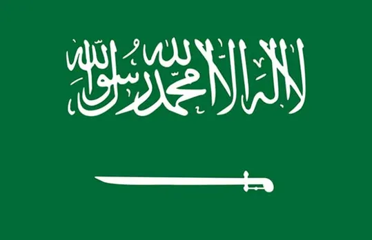 Saudi Arabia's renewable demand perks up Chinese green energy firms