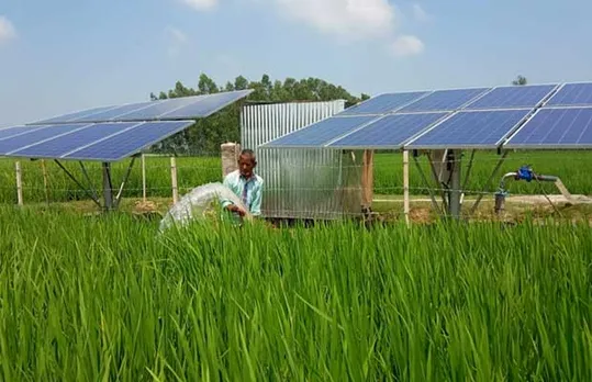 solar powered hydroponic plants