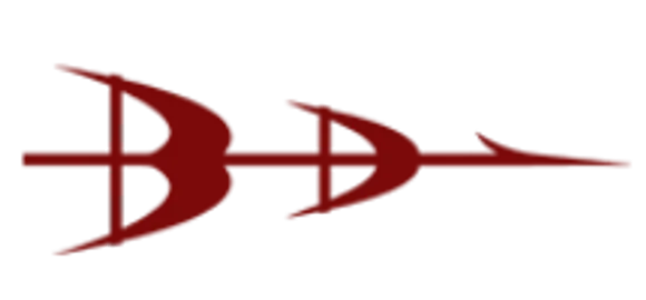 Director(Technical)