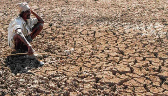 Solar Plant Installs on Barren Land