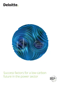 Success Factors for a Low-Carbon Future in the Power Sector