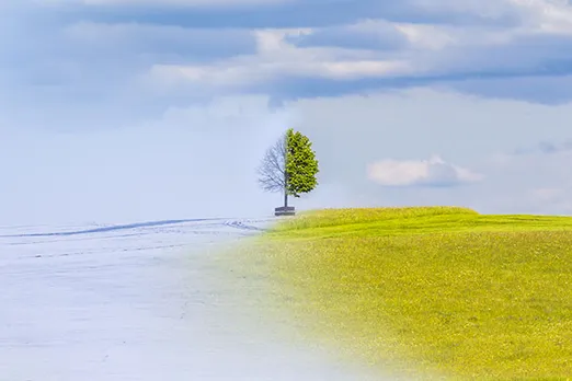 switch to green energy