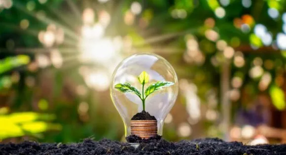 Q1 Results: Waaree Renewable Reports 85% Rise In Revenues On YoY