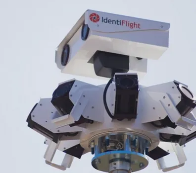 The Startup Using AI To Prevent Bird Fatalities Due to Wind Turbines