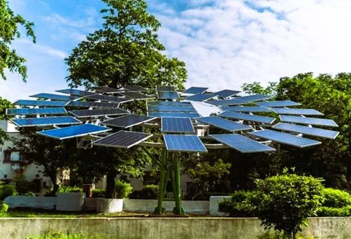 Odisha Plans Solar Trees That Can Withstand Wind Speed Upto 200km/h