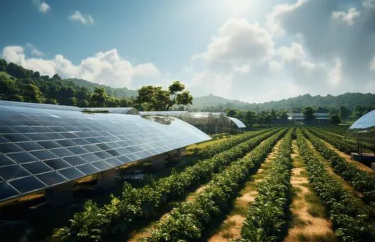 Report Bats For Boosting R&D On Agro Voltaics 