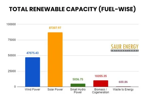 India May Add 30 GW Of Renewable Capacities In 2024-25