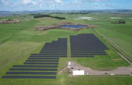 Trinasolar, Kiwi Solar & Trilect Partner For Agrivolt Project In NZ