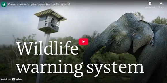How Solar Fences Can Stop Human-Elephant Conflicts In India?