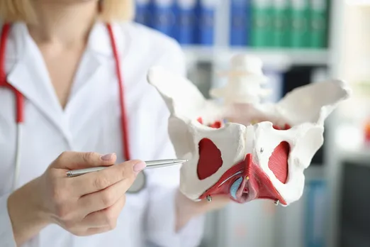 Pelvis-Pelvic-Floor