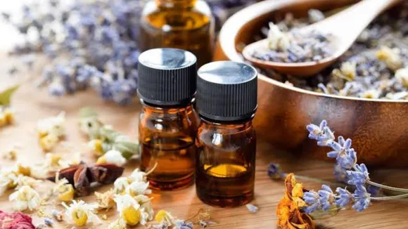 Essential Oils Web Story 1 