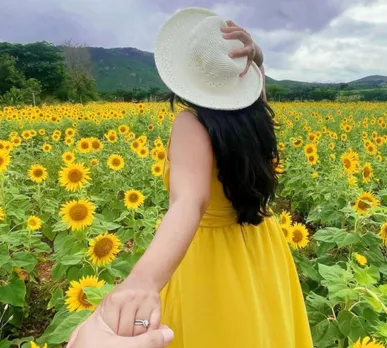Gundlupet Flower Fields in Karnataka 
