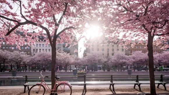 sweden