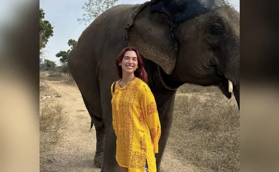 dua lipa