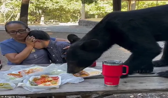 -A_woman_protects_a_boy_while_a_black_bear_interrupts_the_family