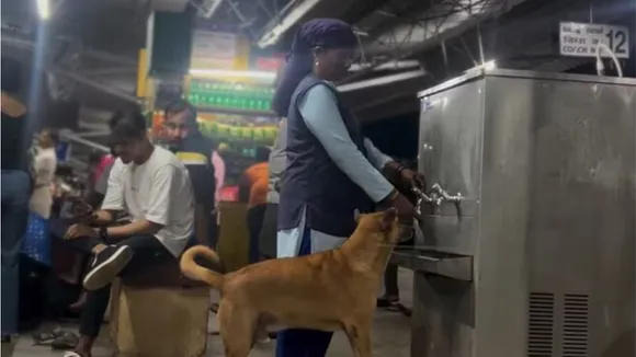 Image Credit: LiveMint/@ajithee Instagram