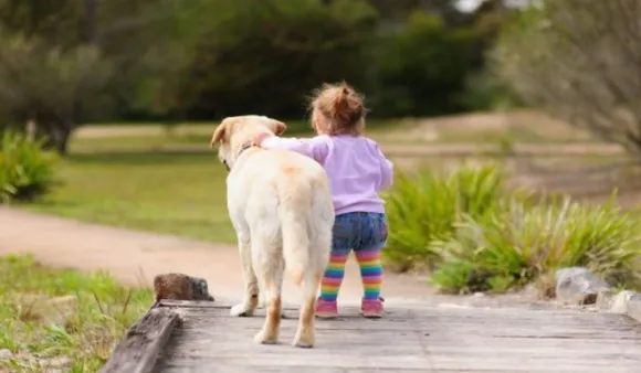Missing US Girl Found In Forest With Pet Dogs