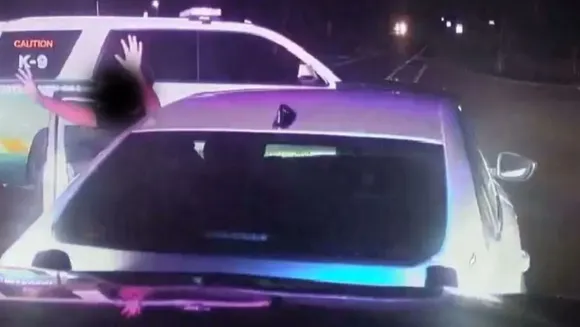 Alachua.jpeg