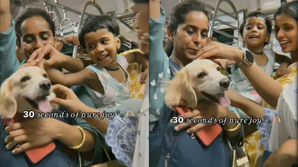 Pet Dog on Mumbai Local Train by Hindustan Times