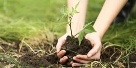 World Environment Day: Small Acts To Reduce Carbon Footprint