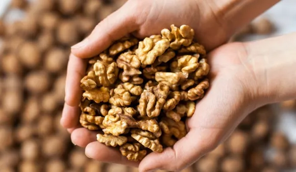 Walnut Oil And Its Benefits for Skin