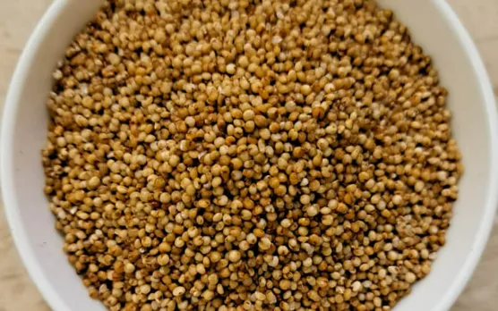 kodo millet