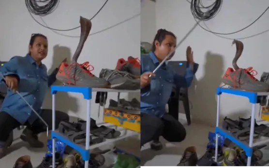 snake in shoe