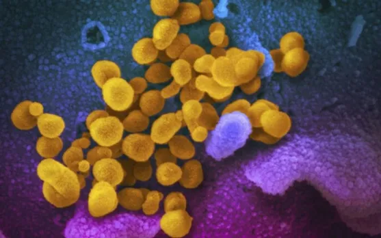 Antibodies for omicron ,What Is Delmicron, what is norovirus , 100 days of covid, norovirus facts