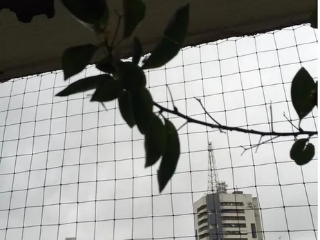 Mumbai Rains in Pictures