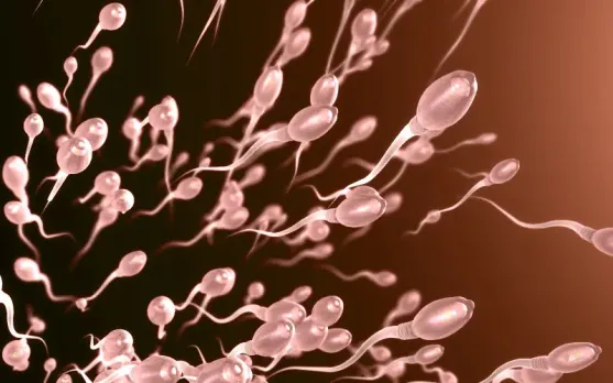 male birth control, male contraceptives