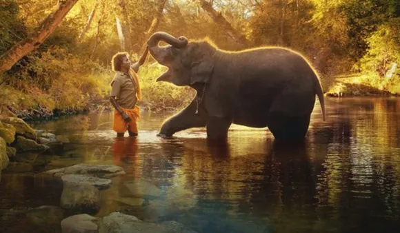 The elephant whisperers plot