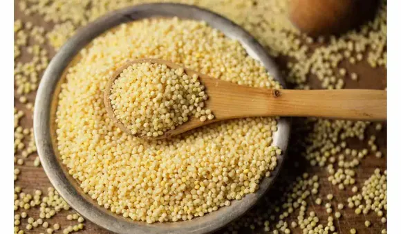 Foxtail Millet