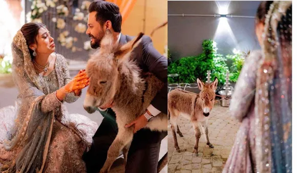 Pakistan Groom Gifts Donkey