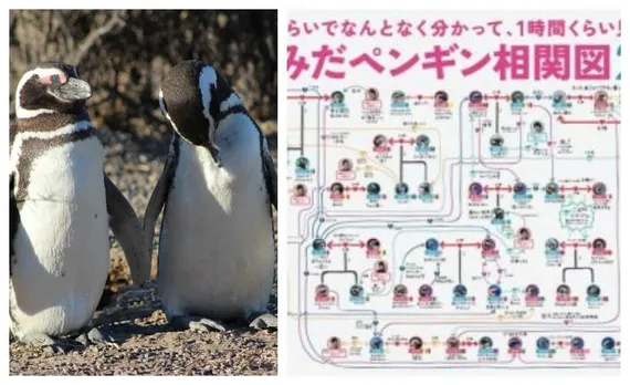 Penguins sexuality