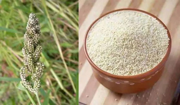 Barnyard millet