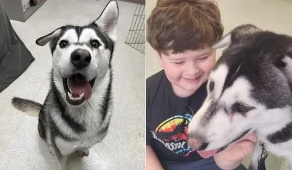 US Family Adopts Dog With Facial Deformity