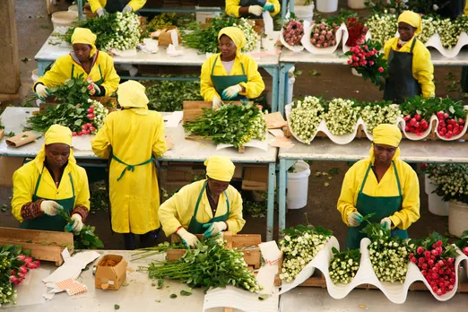 Campaign Helps Kenya Flower Industry Women Get A Better Deal