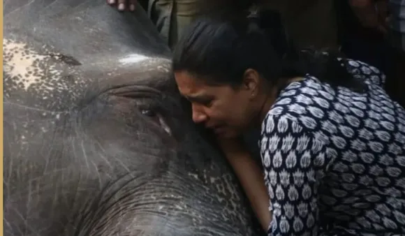 Elephant Lakshmi died