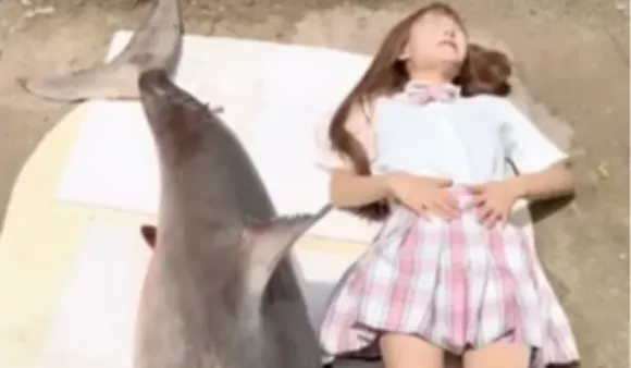 Chinese Food Blogger Fined 15 Lakh Rupees For Eating Great White Shark