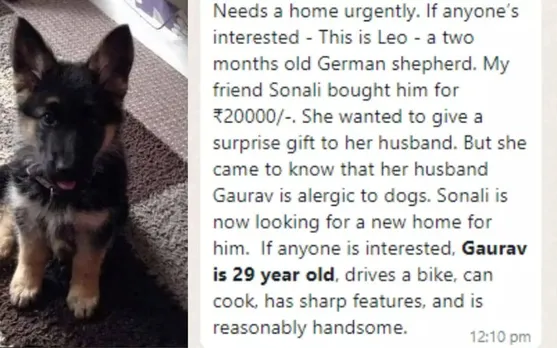Woman Not Ready To Give Away Their Dog