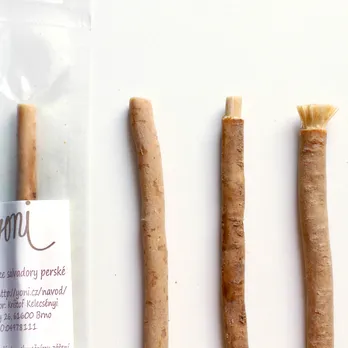 European Company Discovered ‘Miswak’, claims it as the ‘Raw Toothbrush’