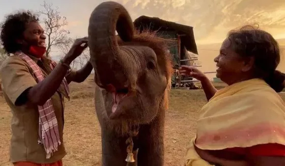 The Elephant Whisperers