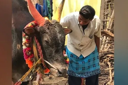 16-Year-Old Female Jallikkattu Bull Tamer