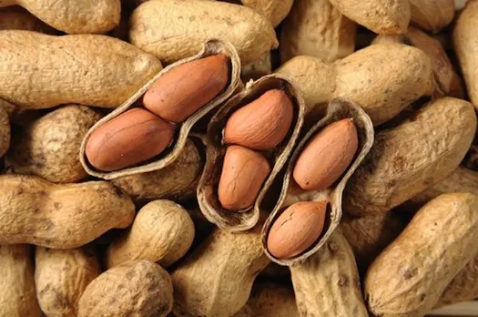 Why peanuts are wonder nuts?