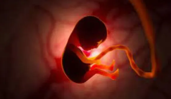 World's First 'Synthetic Embryos'