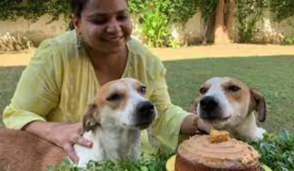 IPS Anshu Singla Develops Jungles