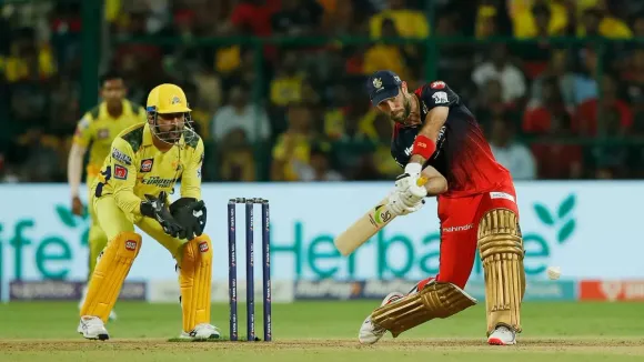 IPL 2025: Who won yesterday's game between CSK vs RCB?