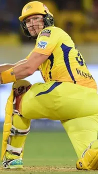 shane watson