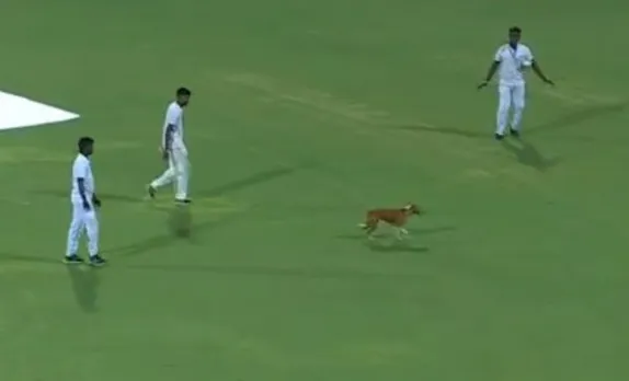 Chennai vs Lucknow